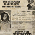 Inspector Zende movie download in telugu